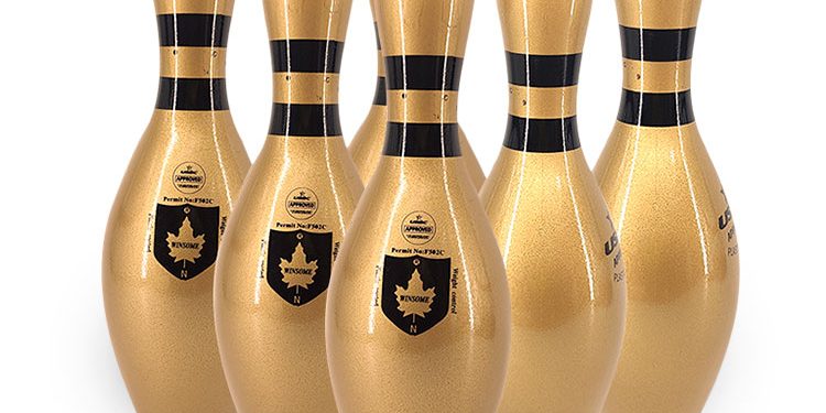 High quality indoor adult glossy bowling pins (1)