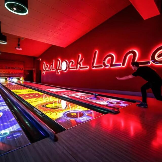 AR Adult Bowling Alley Machine